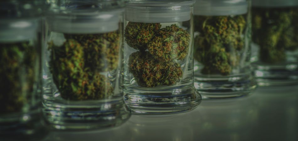 Medical Marijuana – Everything You Need To Know