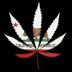 What you need to know about California legalization