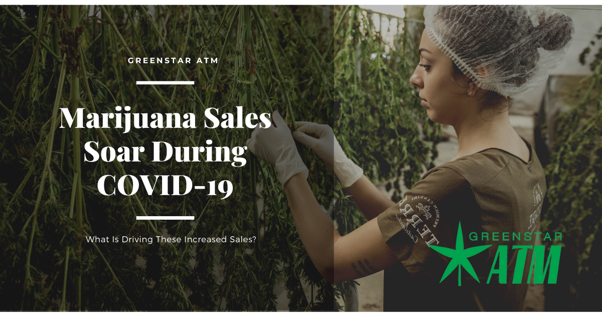 Marijuana Sales Soar during COVID-19