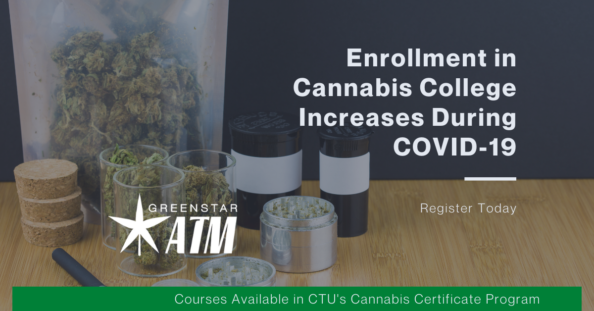 Cannabis College Enrollment increases During COVID-19
