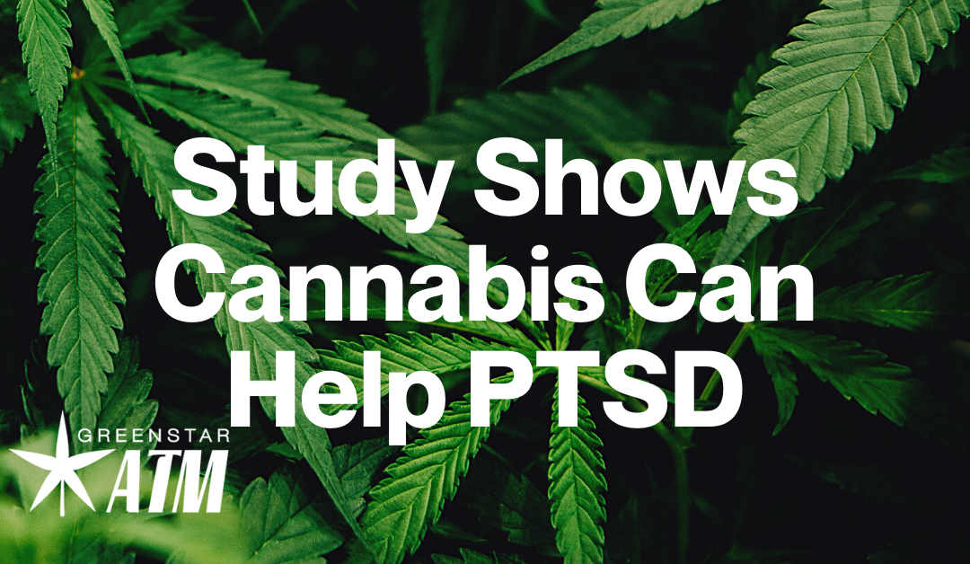 Cannabis Can Help PTSD – Study Shows