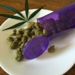 New Study Shows Reduced Prescription Use in Cannabis Patients