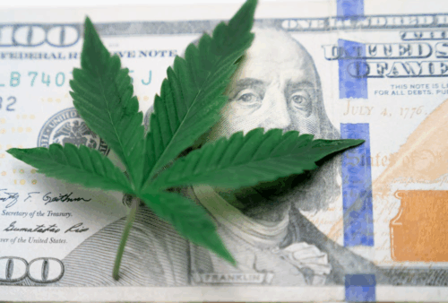 An image of a cannabis leaf over a hundred-dollar bill