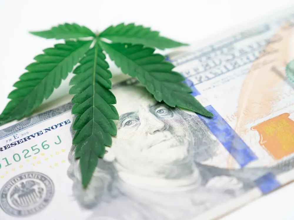 cannabis leaf placed on US currency representing the shift from cash to digital payment solutions in dispensaries