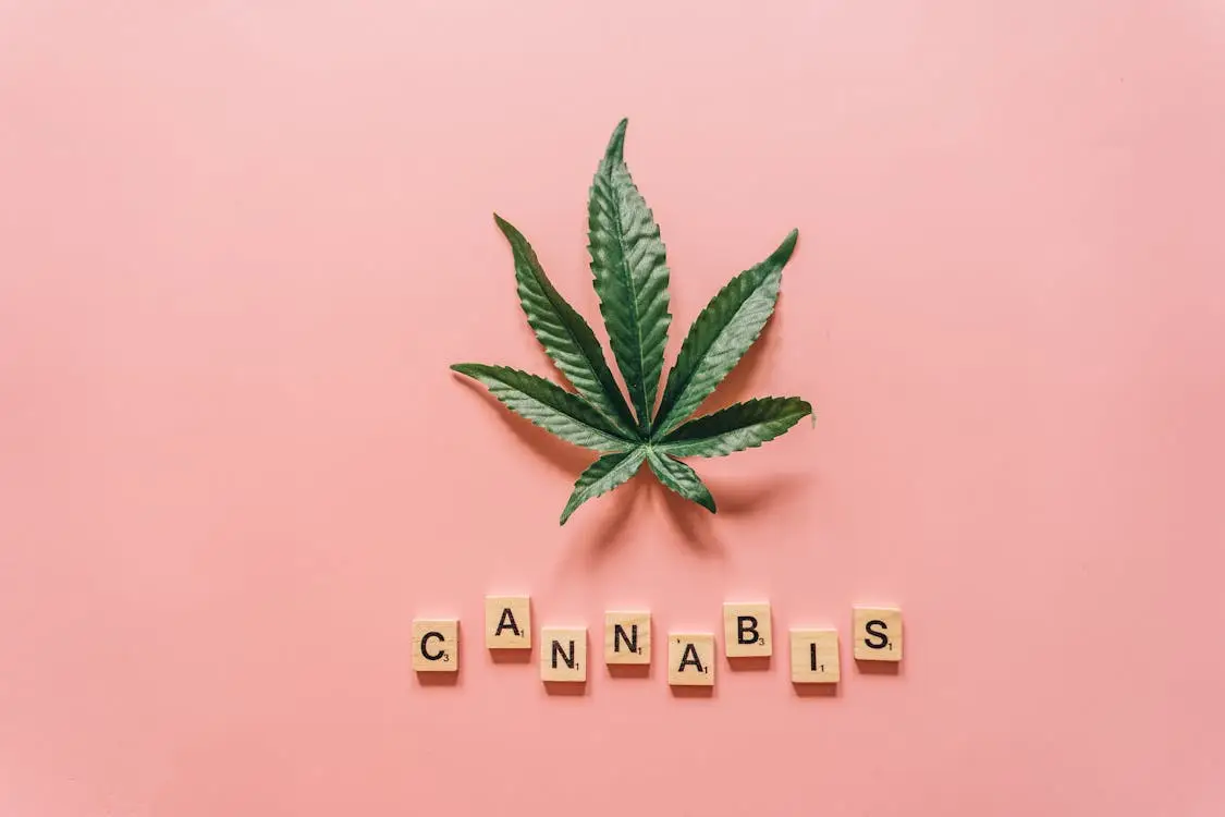 cannabis leaf with spelled out word cannabis representing the growing industry and need for reliable ATM services in dispensaries