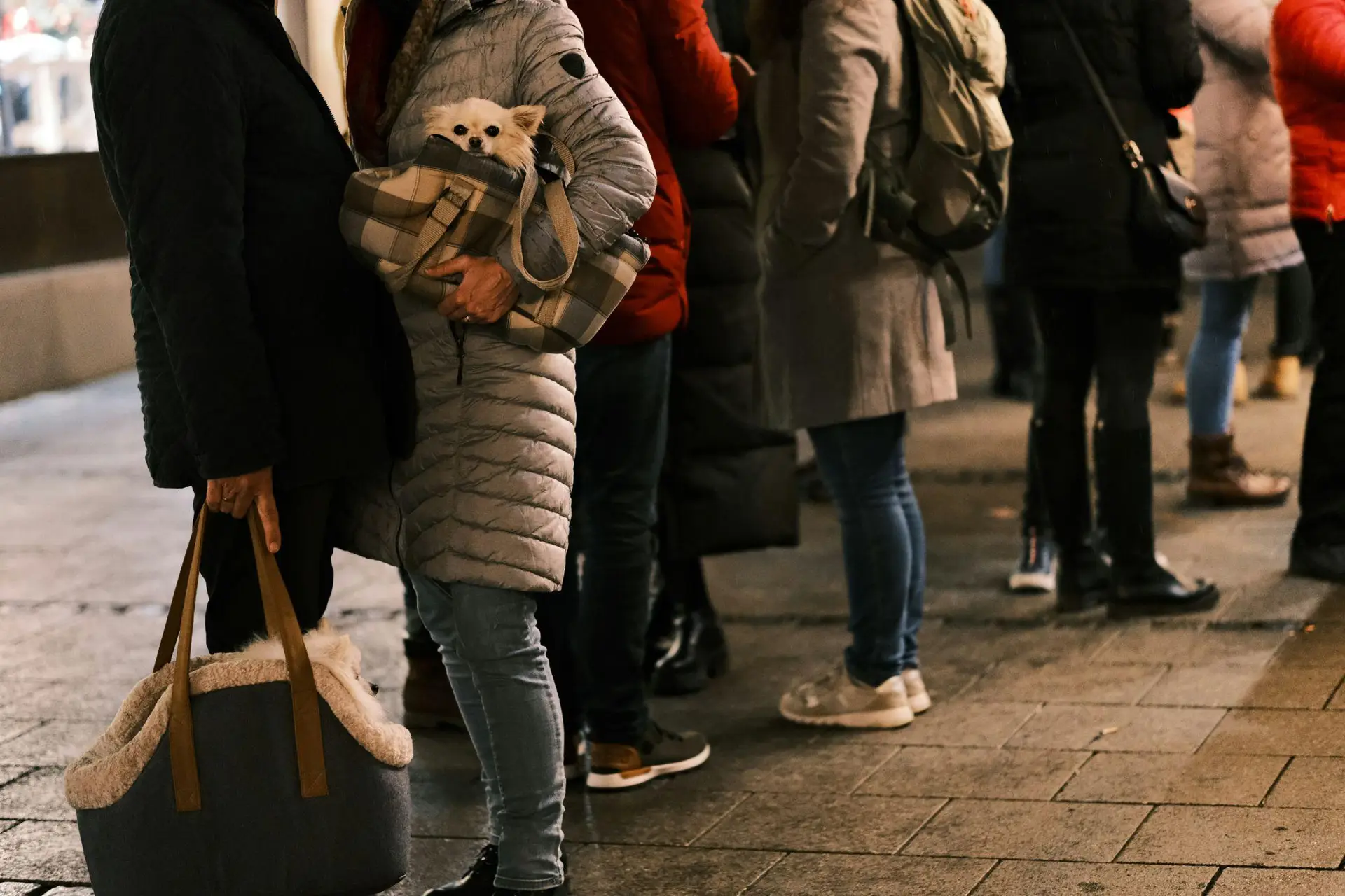 Long line of cannabis dispensary customers waiting outside the storefront